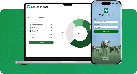 Vado Devs — Custom software and digital solutions